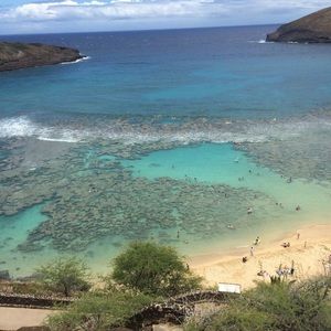 Meet your Posher, Madisen